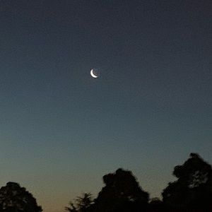 Meet your Posher, Caitlin